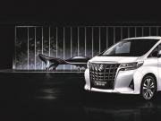 λyӣoBw¿ALPHARD